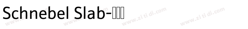 Schnebel Slab字体转换 Schnebel Slab字体转换